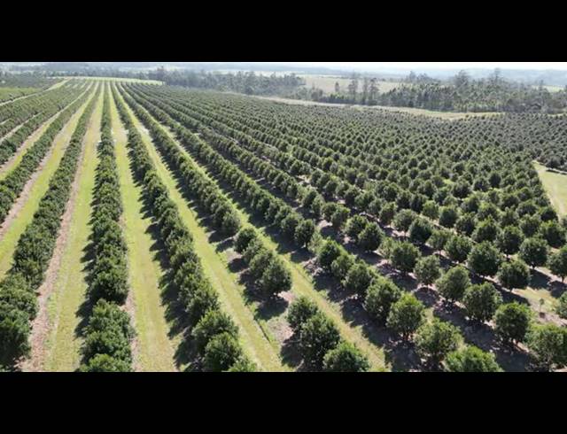 FARM FOR SALE IN PADDOCK